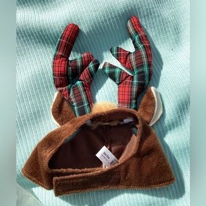 Petco Reindeer costume small dog/cat